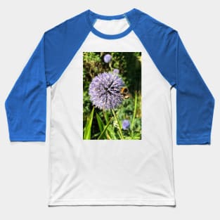 Pollen gathering from a Globe Thistle Baseball T-Shirt